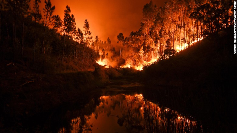 Фотография: Португалия страдает от самого масштабного пожара за последние 50 лет №5 - BigPicture.ru