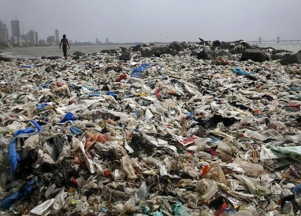 «Чемпион Земли»: как обычный человек очистил пляж от 5000 тонн мусора