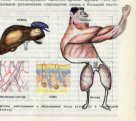 Фотография: Забавно разрисованный учебник биологии перенесет вас назад в 9-й класс №23 - BigPicture.ru