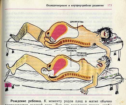 Фотография: Забавно разрисованный учебник биологии перенесет вас назад в 9-й класс №27 - BigPicture.ru