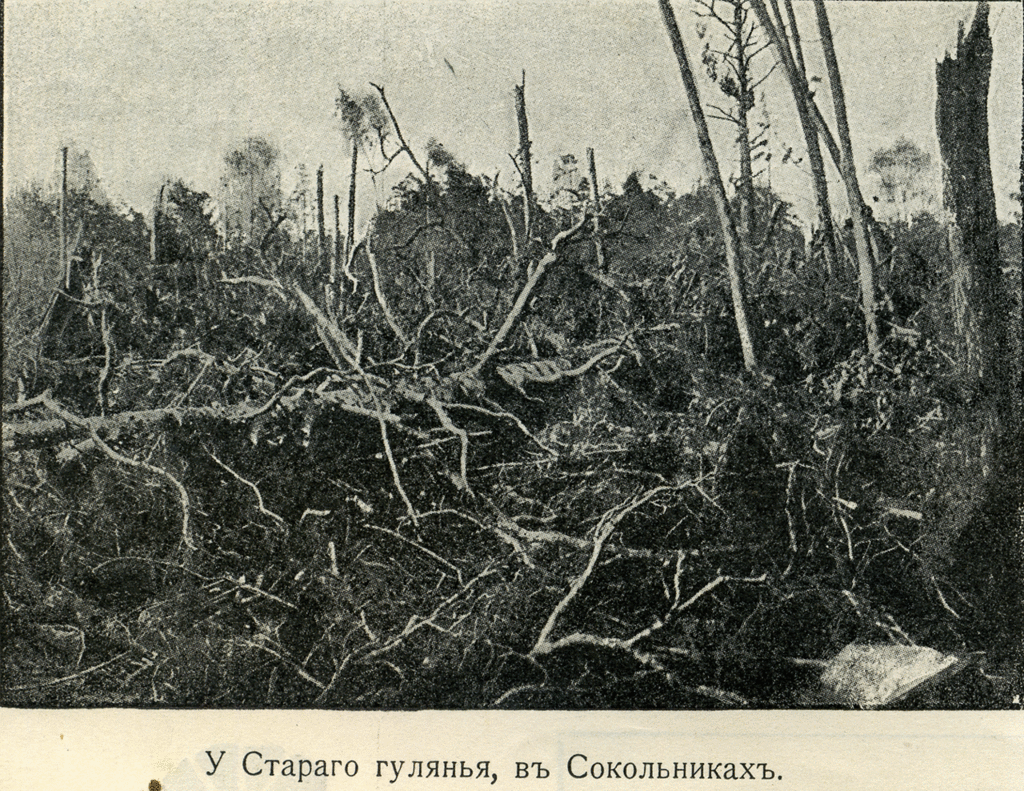 Фотография: Ураган 1904 года — самый смертоносный в Москве за 100 лет №30 - BigPicture.ru