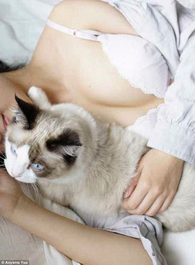 Фотография: Котики и груди: умиротворяющий альбом от японского фотографа №9 - BigPicture.ru