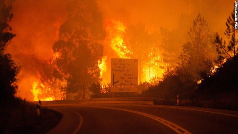 Фотография: Португалия страдает от самого масштабного пожара за последние 50 лет №4 - BigPicture.ru