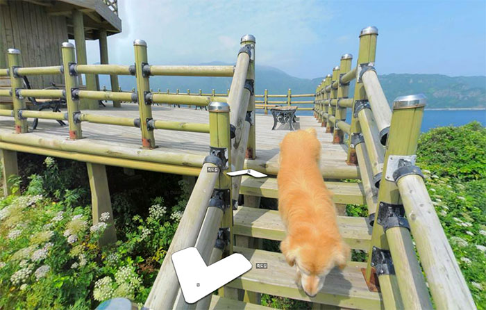 Фотография: Пес следует за устройством Google Street View и фотобомбит каждый кадр №1 - BigPicture.ru