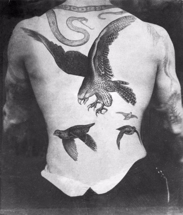 Фотография: Роскошные татуировки Викторианской эпохи: Херувимы, драконы и гербы №5 - BigPicture.ru