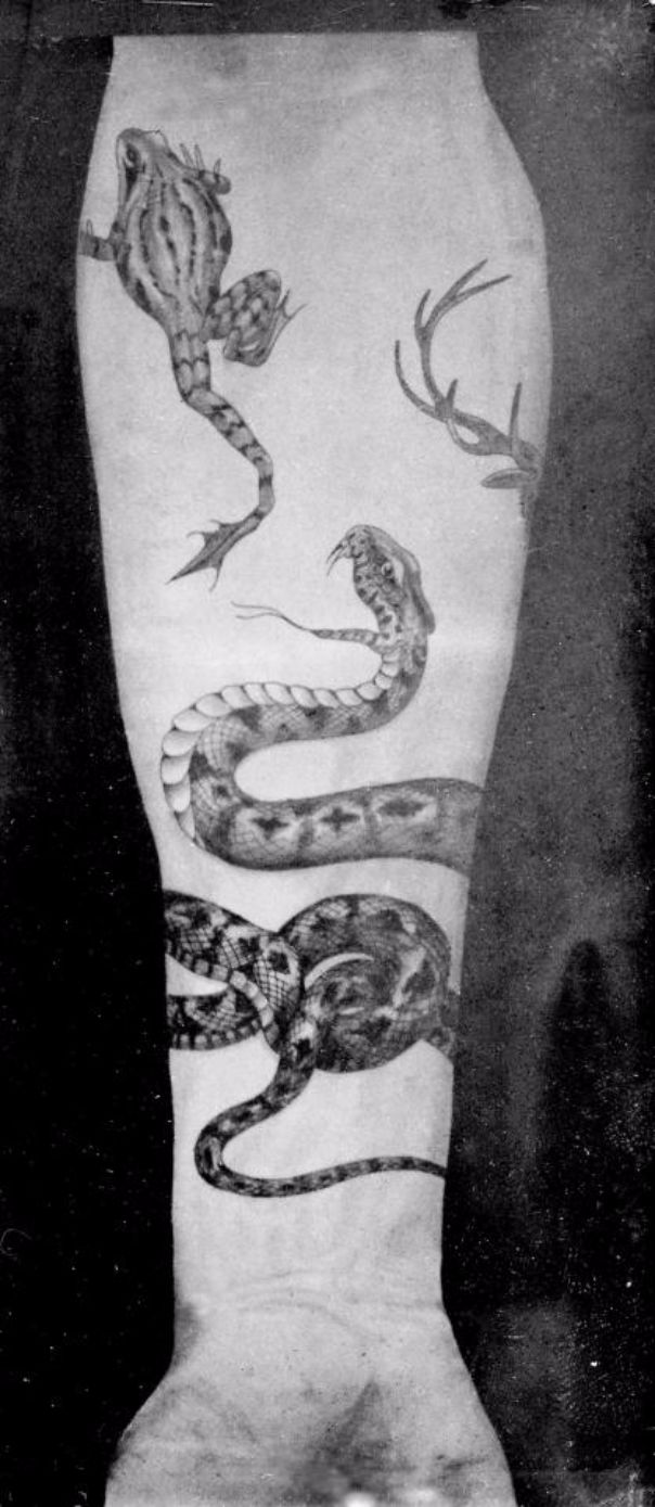 Фотография: Роскошные татуировки Викторианской эпохи: Херувимы, драконы и гербы №7 - BigPicture.ru