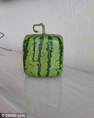 Фотография: Груша в виде Будды и другие овощи и фрукты причудливых форм №8 - BigPicture.ru