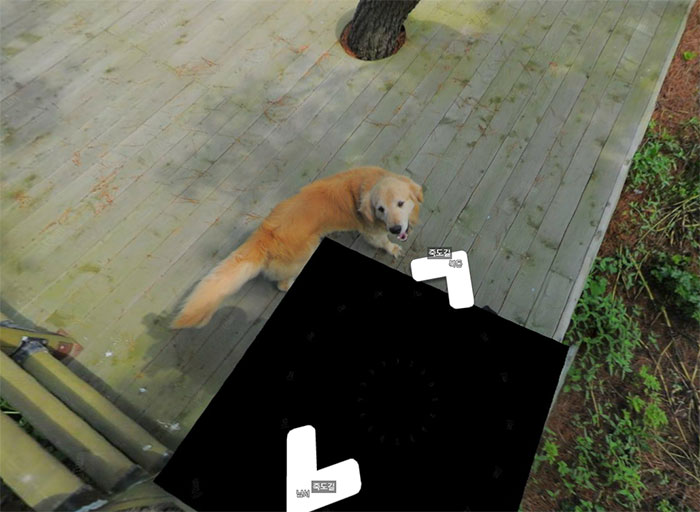 Фотография: Пес следует за устройством Google Street View и фотобомбит каждый кадр №9 - BigPicture.ru