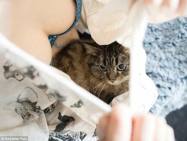 Фотография: Котики и груди: умиротворяющий альбом от японского фотографа №4 - BigPicture.ru