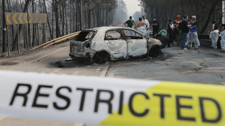 Фотография: Португалия страдает от самого масштабного пожара за последние 50 лет №6 - BigPicture.ru