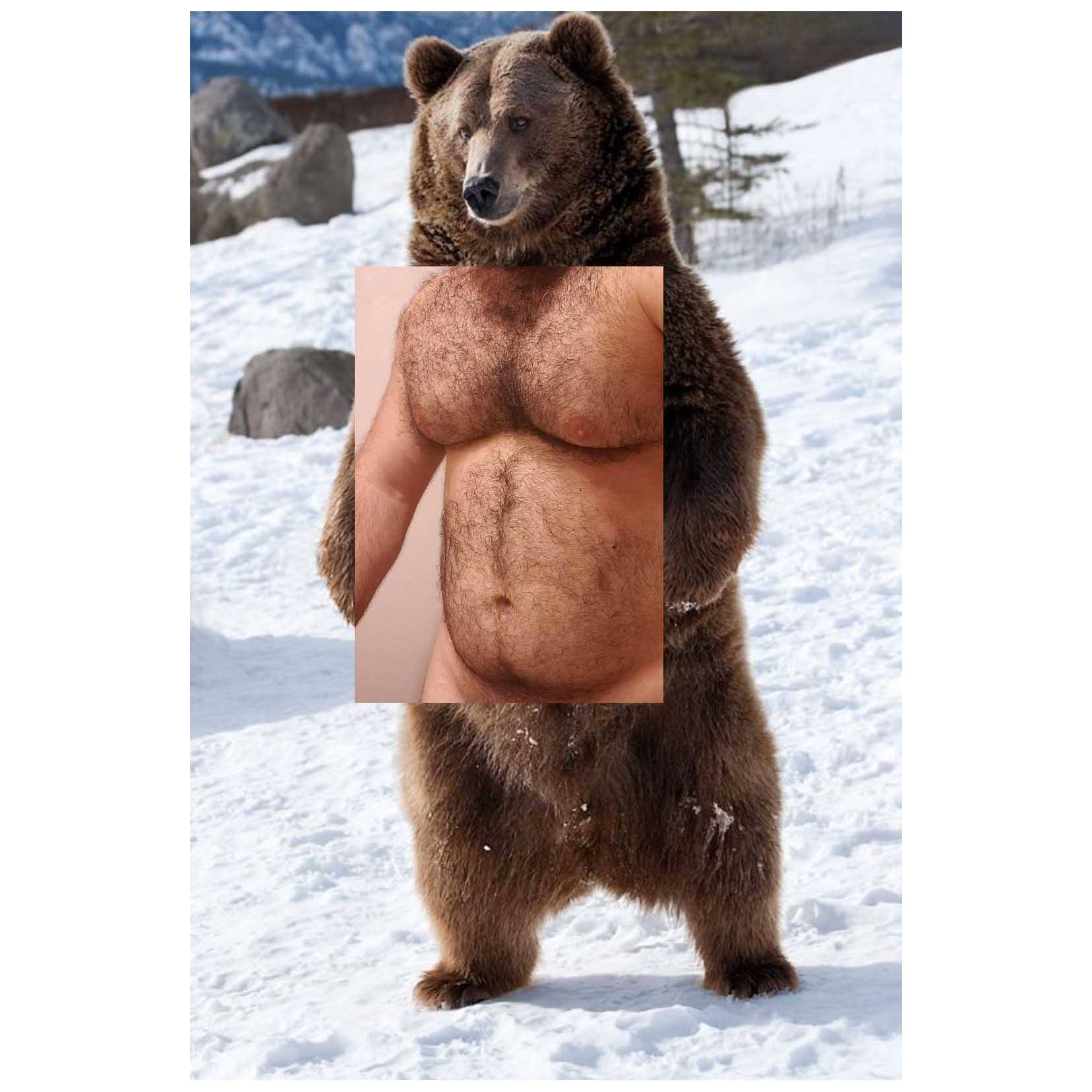 Bigpicture.ru Коллажи Naro Pinosapinosa standing big belly grizzly postcard 1800x1800