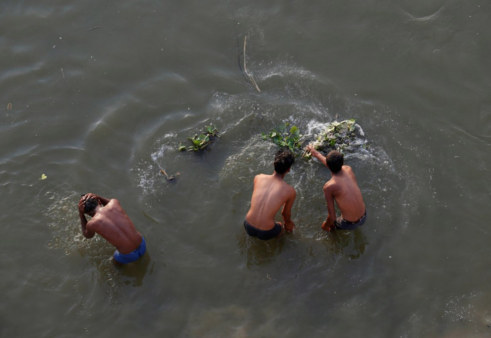 Фотография: Все цвета грязи: как индийцы убивают священную реку Ганг №7 - BigPicture.ru