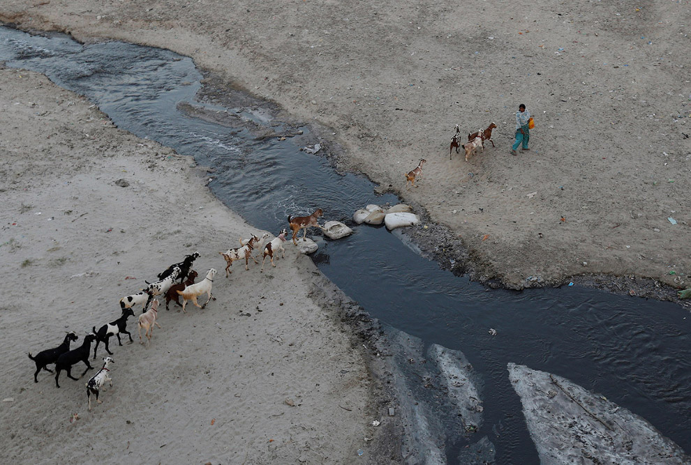 Фотография: Все цвета грязи: как индийцы убивают священную реку Ганг №11 - BigPicture.ru