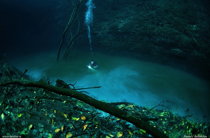 Фотография: Мистическая подводная река протекает вдоль океанского дна в Мексике №2 - BigPicture.ru