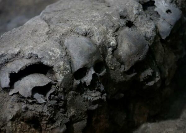 В Мехико обнаружили ацтекскую башню из человеческих черепов