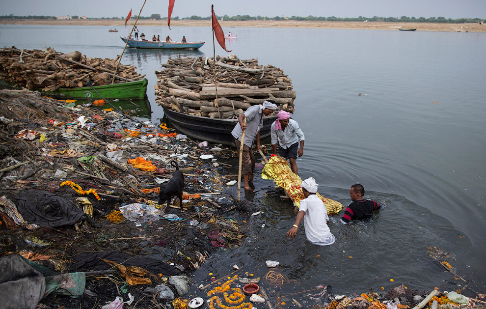 Фотография: Все цвета грязи: как индийцы убивают священную реку Ганг №17 - BigPicture.ru