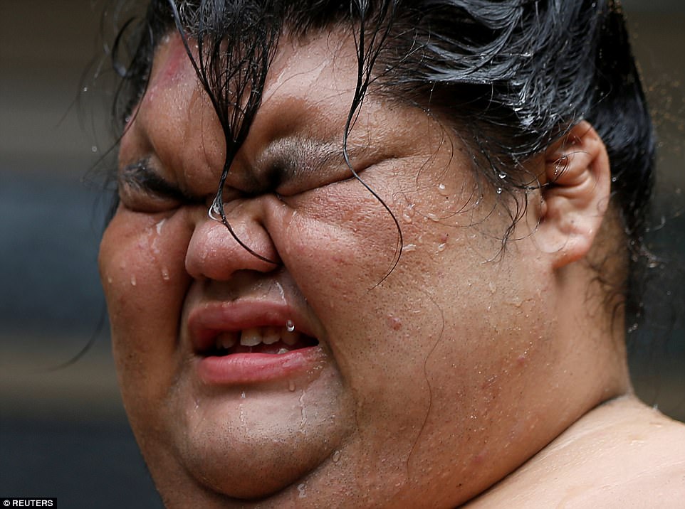 Фотография: 8000 калорий в день и кислородные маски: как живут борцы сумо №2 - BigPicture.ru