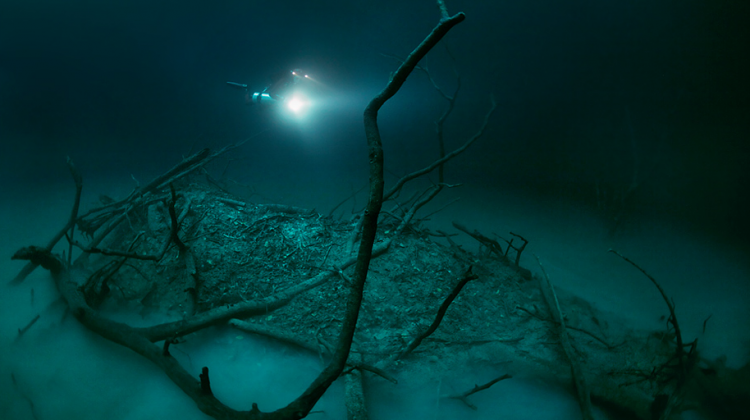 Фотография: Мистическая подводная река протекает вдоль океанского дна в Мексике №4 - BigPicture.ru