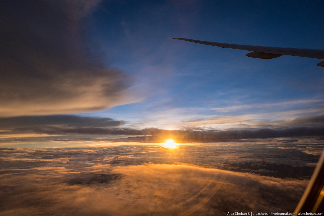 Фотография: 18 часов в облаках: как пережить самый долгий рейс в мире №32 - BigPicture.ru