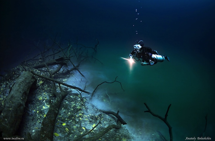 Фотография: Мистическая подводная река протекает вдоль океанского дна в Мексике №6 - BigPicture.ru