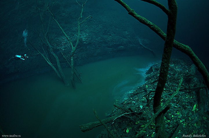 Фотография: Мистическая подводная река протекает вдоль океанского дна в Мексике №7 - BigPicture.ru