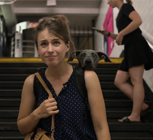 Фотография: Как хитрые ньюйоркцы обходят запрет на провоз собак в метро №7 - BigPicture.ru