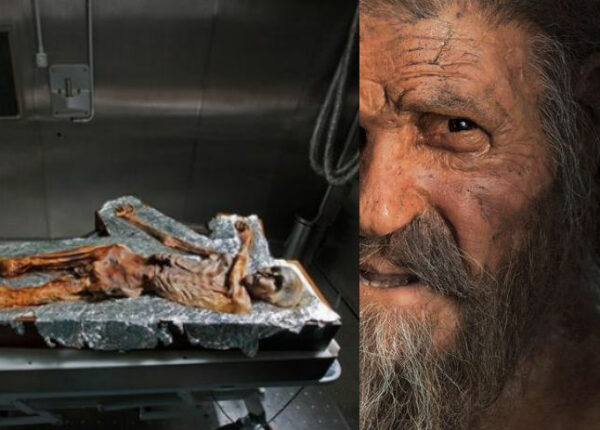 «Ледяной человек» — старейшая мумия, найденная в Европе
