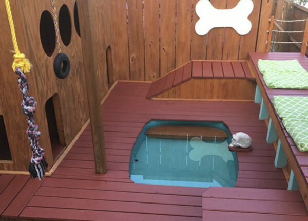 Несобачья жизнь: американец построил для своих четырех собак площадку для отдыха с бассейном