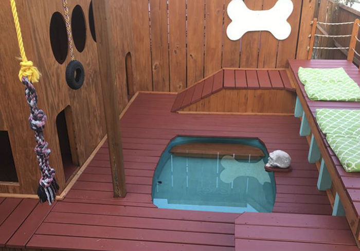 Фотография: Несобачья жизнь: американец построил для своих четырех собак площадку для отдыха с бассейном №1 - BigPicture.ru