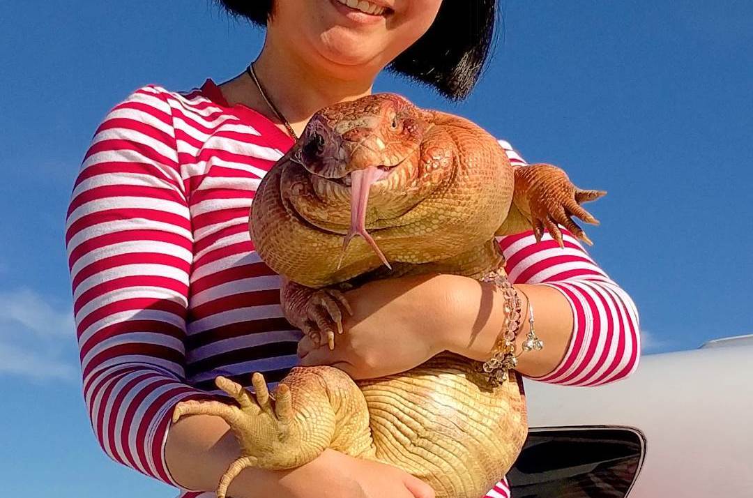 Фотография: Наследник секретного агента: 10-килограммовая ящерица ищет работу в интернете №1 - BigPicture.ru