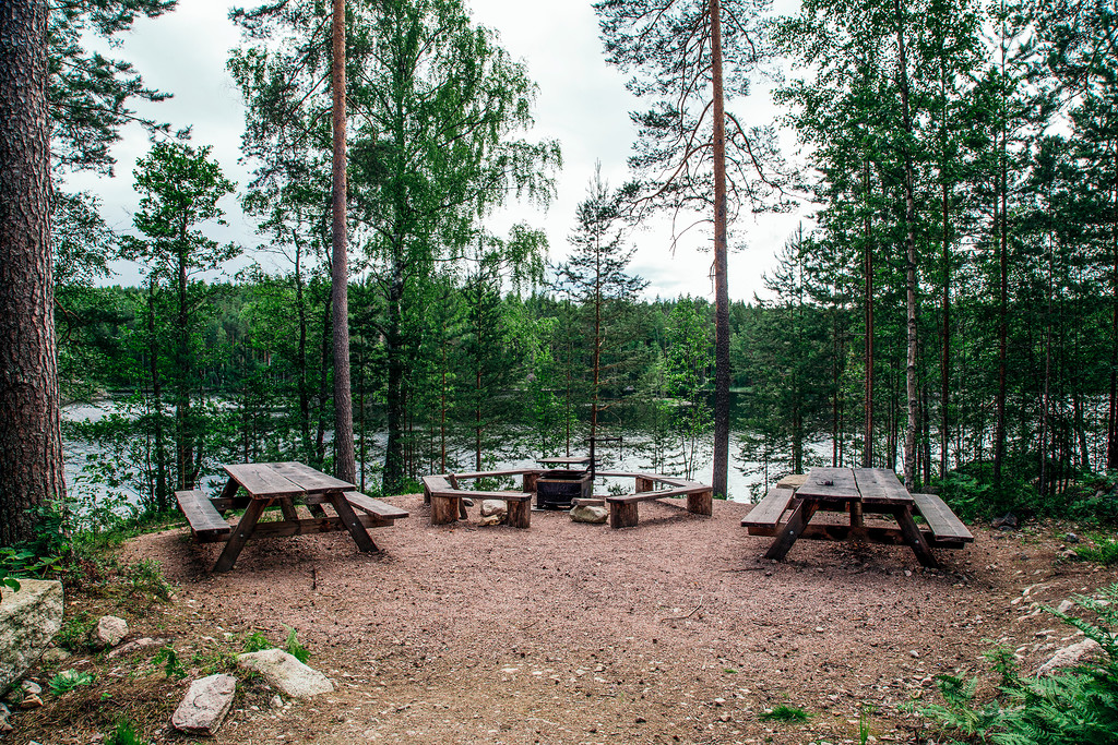Фотография: Как в Финляндии избавились от мусора на природе и лесных пожаров №17 - BigPicture.ru