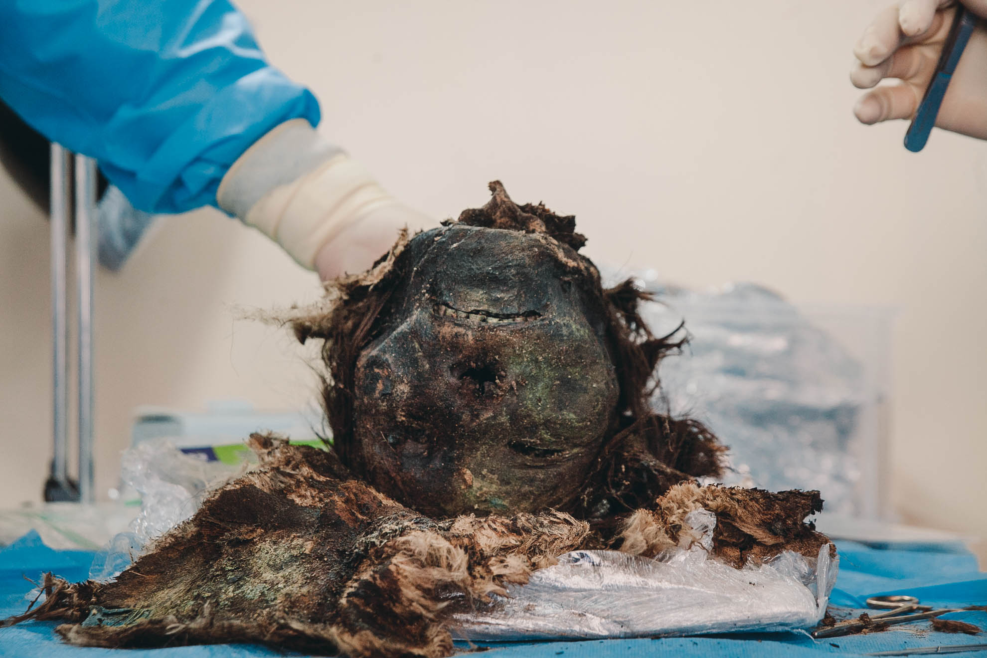 Фотография: В Сибири раскопали 900-летнюю мумию 