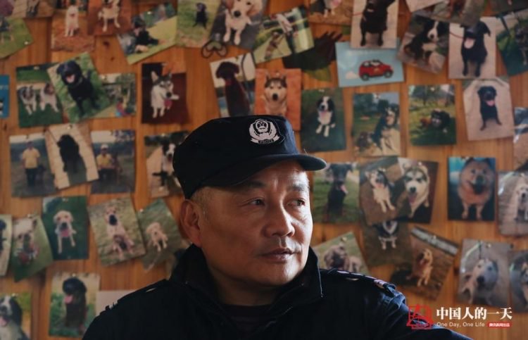 Фотография: Достойная старость служебных собак: китайский кинолог открыл приют для собак-пенсионеров №2 - BigPicture.ru