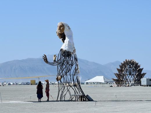 Фотография: За пределами реальности: первые фото с фестиваля Burning Man 2017 №17 - BigPicture.ru