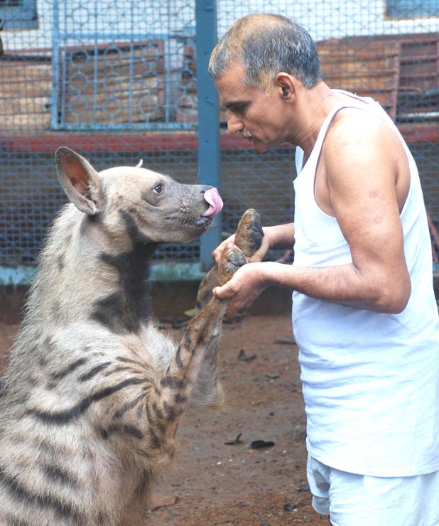 Фотография: Индийская семья приютила сотни осиротевших диких животных, превратив свой дом в заповедник №7 - BigPicture.ru