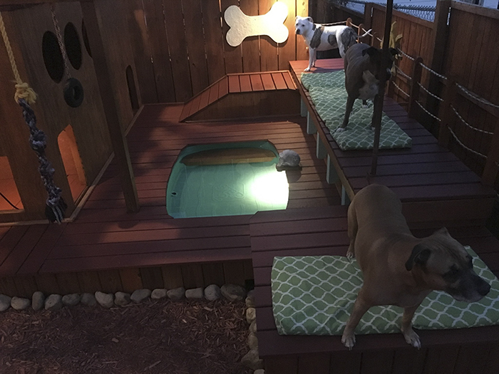 Фотография: Несобачья жизнь: американец построил для своих четырех собак площадку для отдыха с бассейном №9 - BigPicture.ru