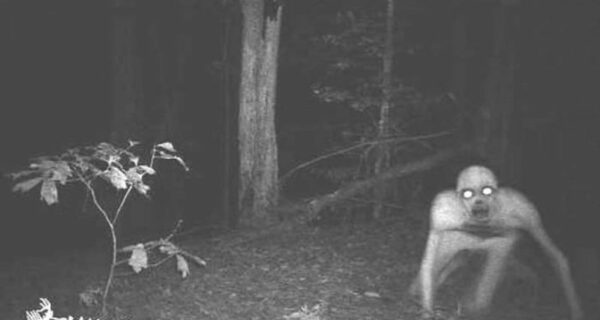 14 самых жутких кадров с охотничьих камер ночного видения