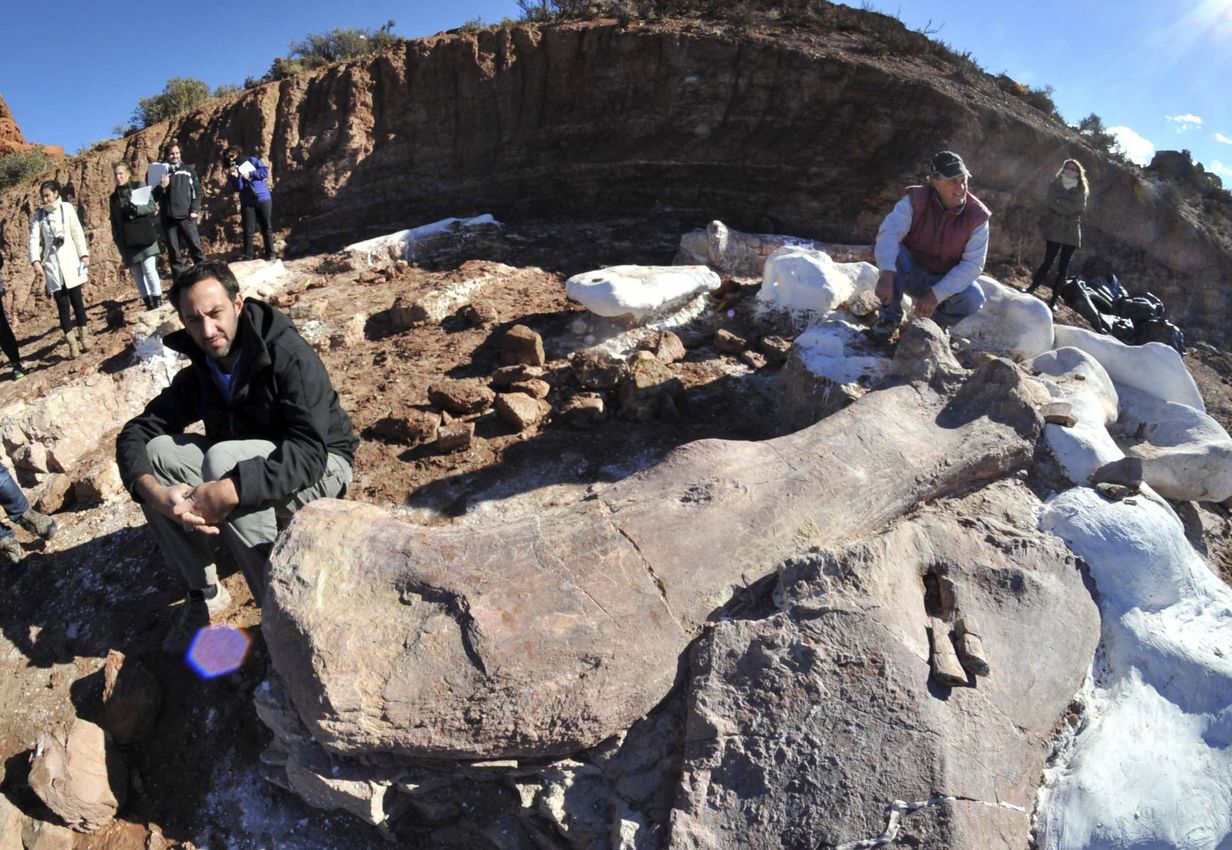 Фотография: Палеонтологи откопали в Патагонии динозавра размером с 