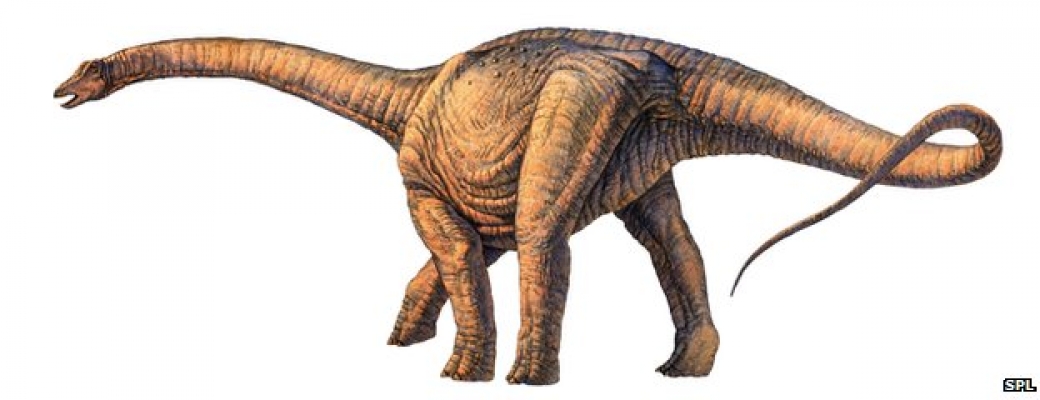 Фотография: Палеонтологи откопали в Патагонии динозавра размером с 