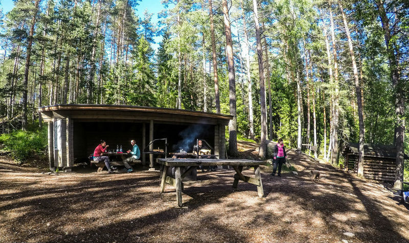 Фотография: Как в Финляндии избавились от мусора на природе и лесных пожаров №1 - BigPicture.ru