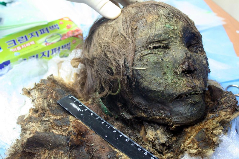 Фотография: В Сибири раскопали 900-летнюю мумию 