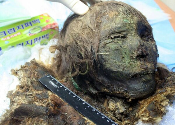 В Сибири раскопали 900-летнюю мумию «Полярной принцессы»