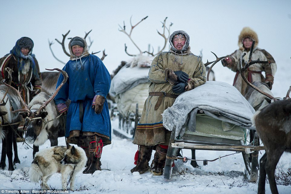 Фотография: Жизнь в морозильнике: вышел фильм BBC о миграции ненецких оленеводов №2 - BigPicture.ru