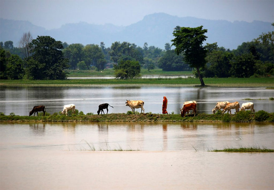Фотография: В Южной Азии сильнейшее наводнение за десятилетие, но никто об этом не говорит №14 - BigPicture.ru