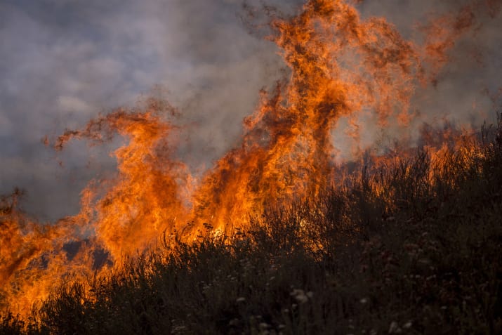 Фотография: В Лос-Анджелесе борются с сильнейшим природным пожаром в истории округа №3 - BigPicture.ru