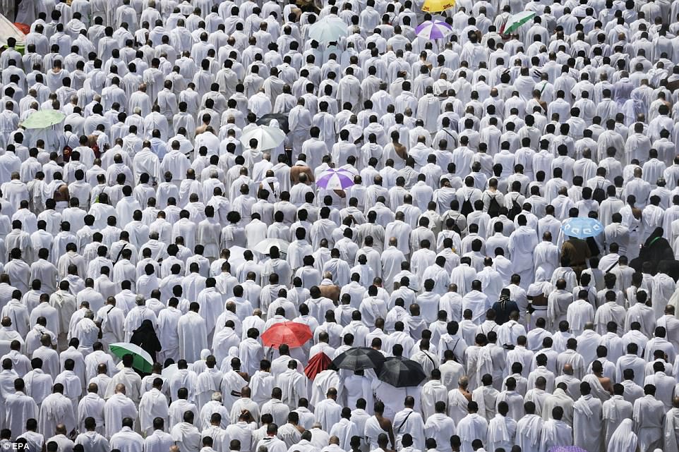 Фотография: Два миллиона мусульман собрались на горе Арафат для кульминации хаджа №4 - BigPicture.ru