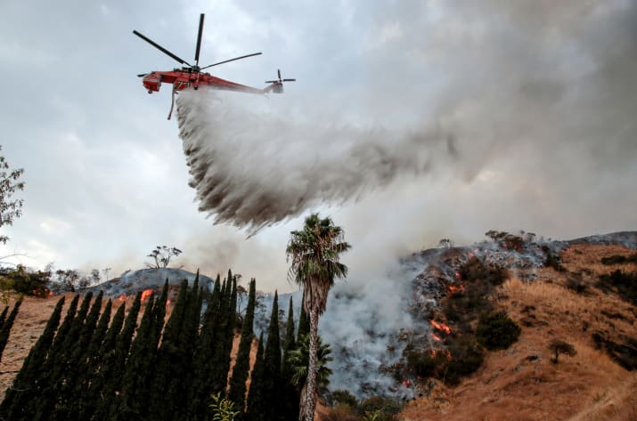 Фотография: В Лос-Анджелесе борются с сильнейшим природным пожаром в истории округа №5 - BigPicture.ru