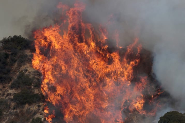 Фотография: В Лос-Анджелесе борются с сильнейшим природным пожаром в истории округа №6 - BigPicture.ru