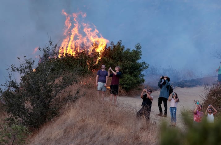 Фотография: В Лос-Анджелесе борются с сильнейшим природным пожаром в истории округа №8 - BigPicture.ru