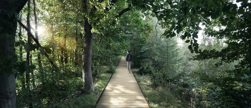 Фотография: Гуляй — не хочу: в датском лесу появится спиральная башня для пеших прогулок №7 - BigPicture.ru